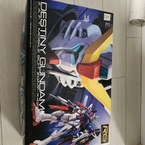 RG 데스티니
