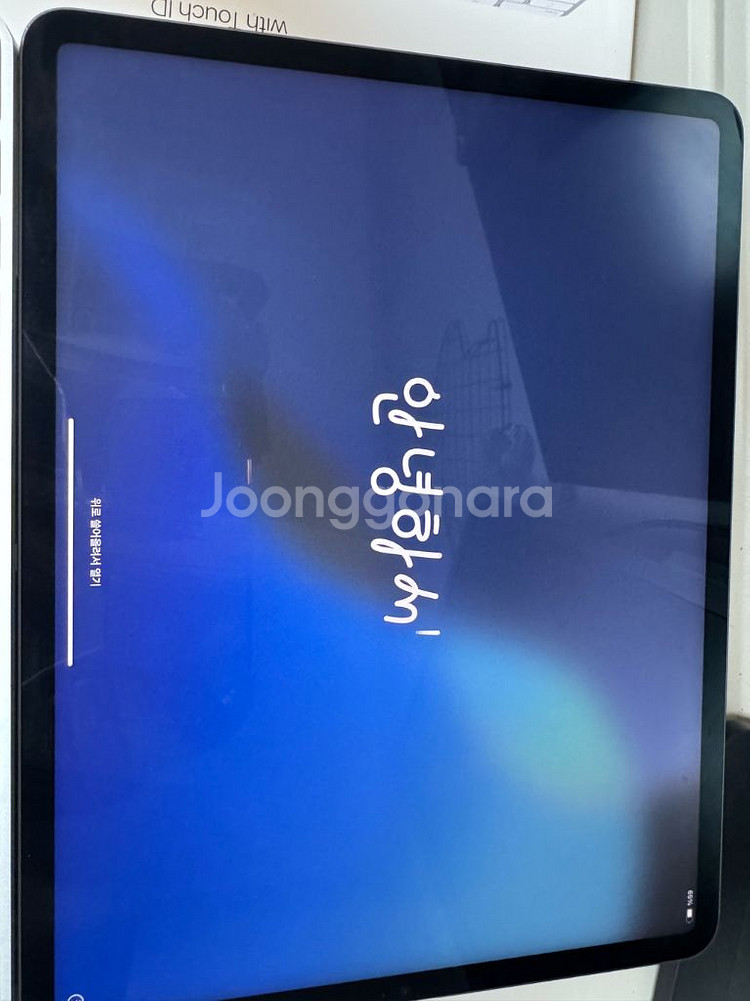 아이패드 프로 12.9 5세대 256GB--4