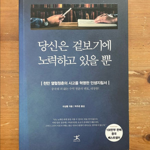 당신은 겉보기에 노력하고 있을 뿐 - 리샹룽