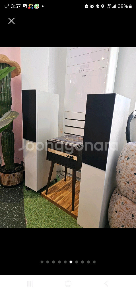 와피데일 다이아몬드 12.3화이트 마란츠 pm8006등--0