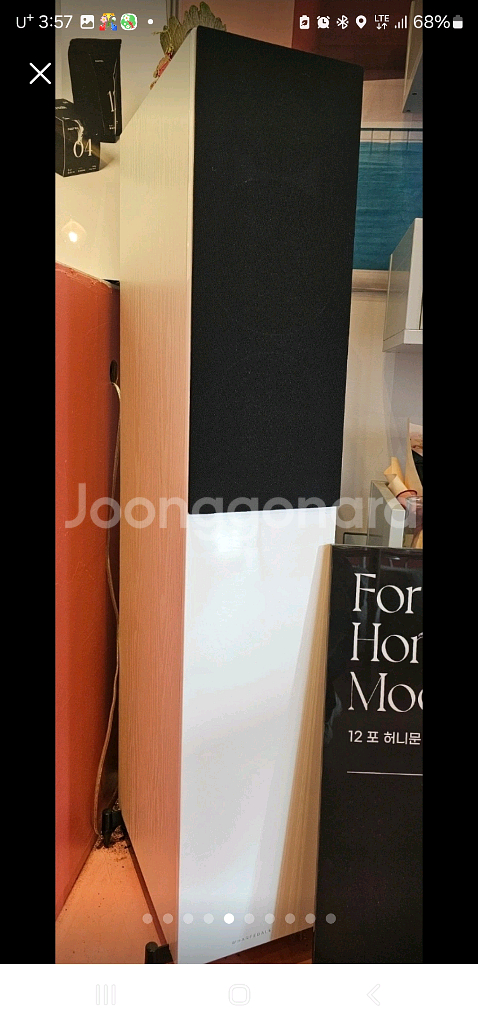 와피데일 다이아몬드 12.3화이트 마란츠 pm8006등--5