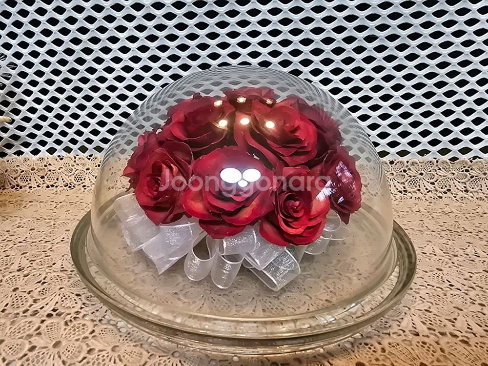 일본 글라스 크래프트와 아다마스 생화돔--5