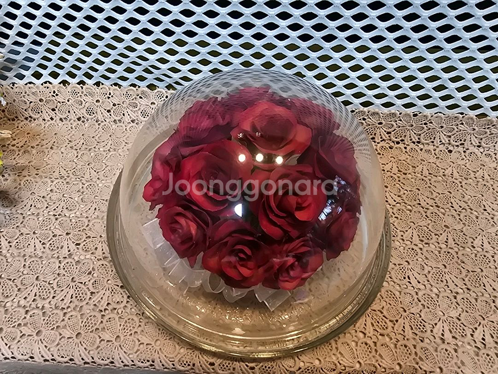 일본 글라스 크래프트와 아다마스 생화돔--6