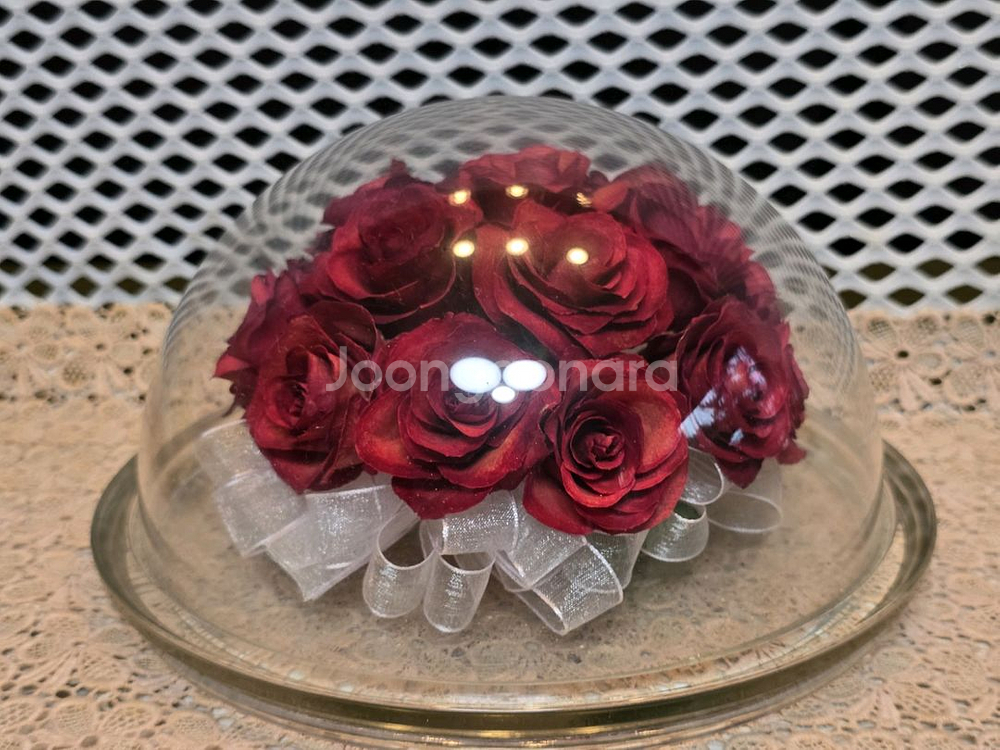 일본 글라스 크래프트와 아다마스 생화돔--8