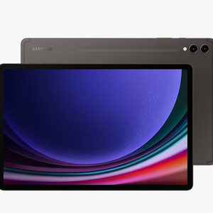 갤럭시 탭 s9+ 256기가 와이파이