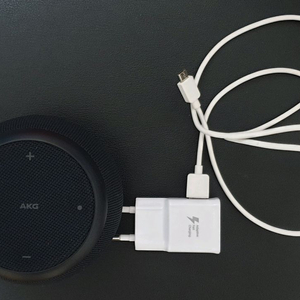 삼성 갤럭시 홈 미니 SM-V310