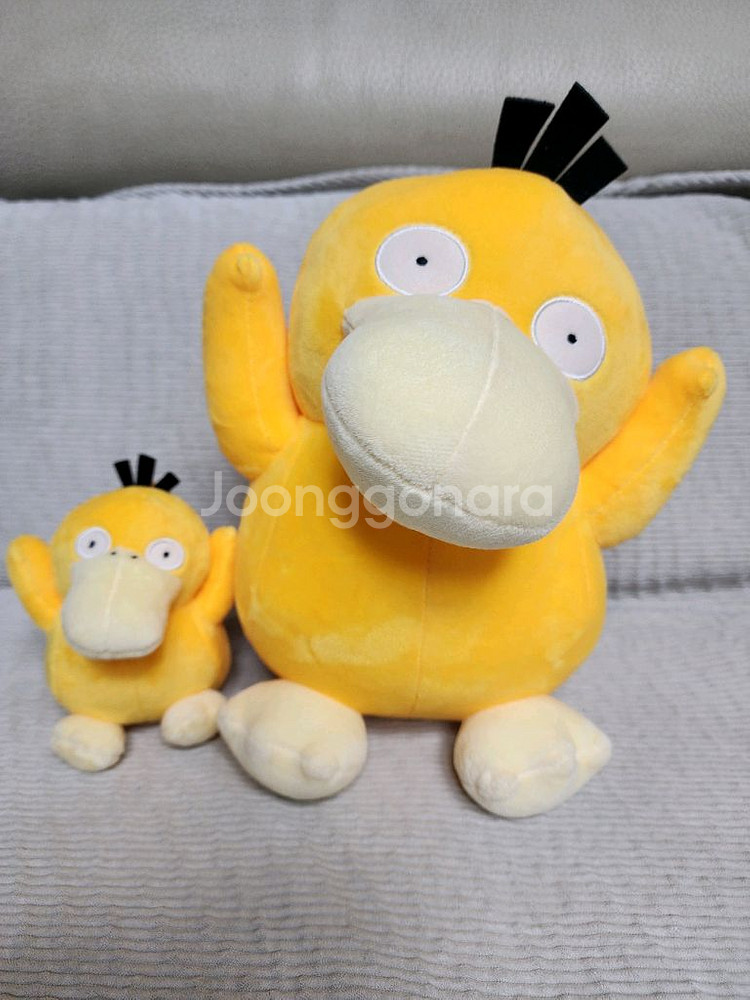 갸우뚱 고라파덕 인형세트--0