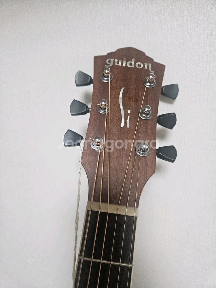 guidon 기타 팝니다!--1