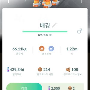 포켓몬고 배경 이로치 랜드로스 판매