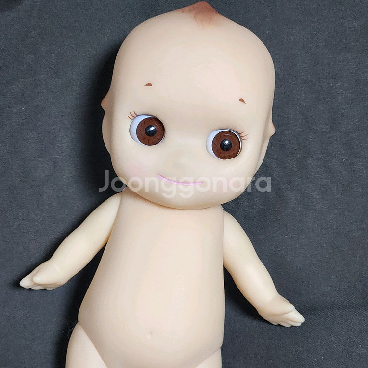 소니엔젤 자이언트 버터플라이 판매--1