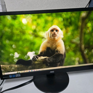 알파스캔 AOC I2470SWQ