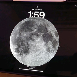 아이패드 프로 4세대 12.9 256GB 애플펜슬포함