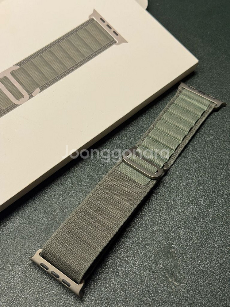 애플워치 49mm 그린 알파인 루프 M--0