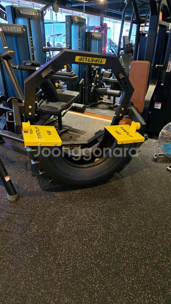 타이어 플립 헬스기구--0