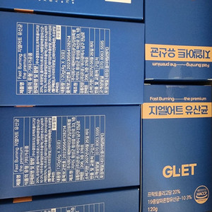 지엘어트 유산균