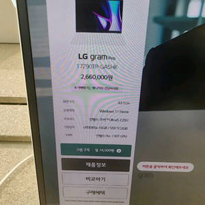 엘지그램 17인치 최신품