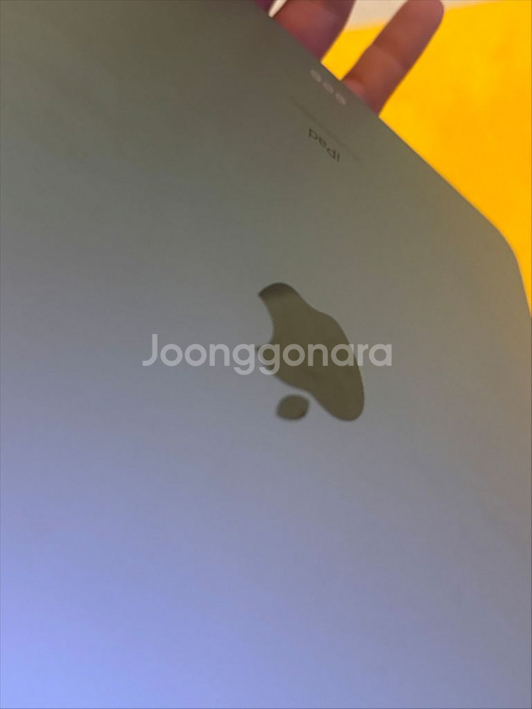 아이패드 에어4 wifi 64gb--6
