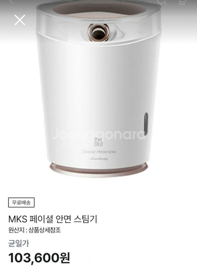 MKS 페이셜 안면 스팀기 페이스 스티머 피부관리 에스--9