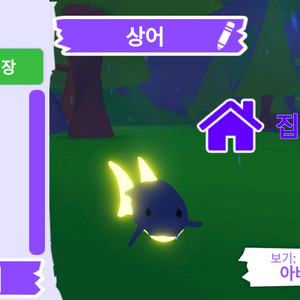 입양하세요 펫 메가네온 상어 판매합니다