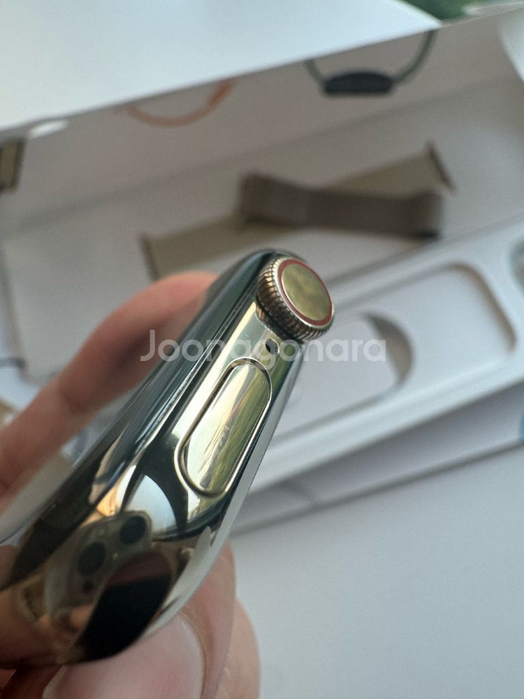 애플워치6 40mm 스테인레스 골드, 정품 밀레니즈루프--2