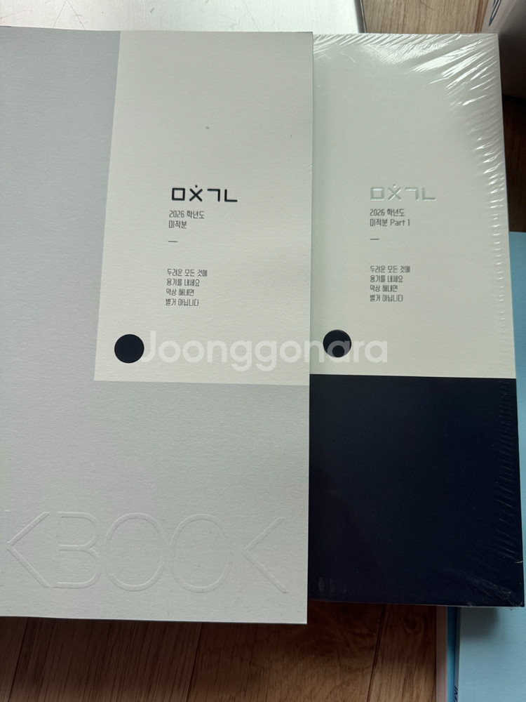 미친 개념 미적분 이미지 대성 마이맥--0