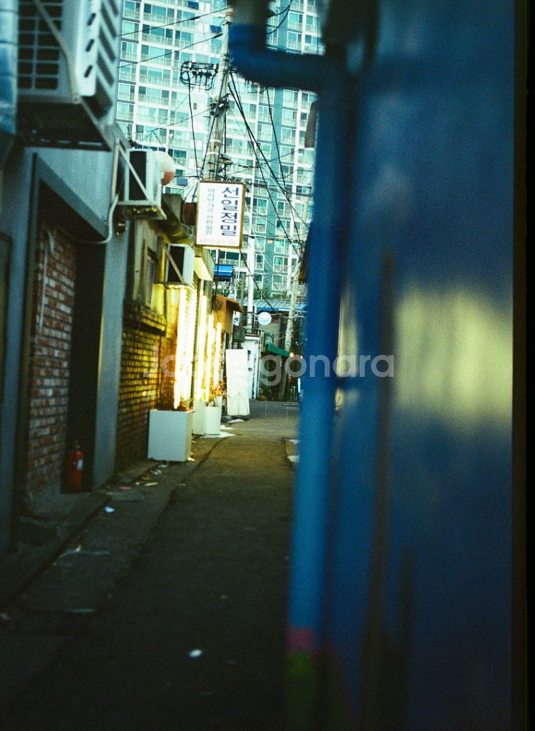 코닥 엑타크롬 E100GX (작례있음)--2