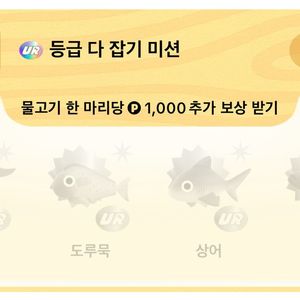 틱톡라이트 낚시 물고기 UR 등급 구매