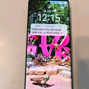 비보x100프로