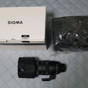 시그마 60-600mm(소니 E-mount) 풀프레임용