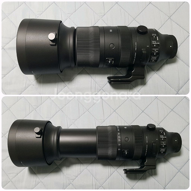 시그마 60-600mm(소니 E-mount) 풀프레임용--2