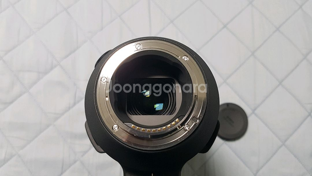 시그마 60-600mm(소니 E-mount) 풀프레임용--4