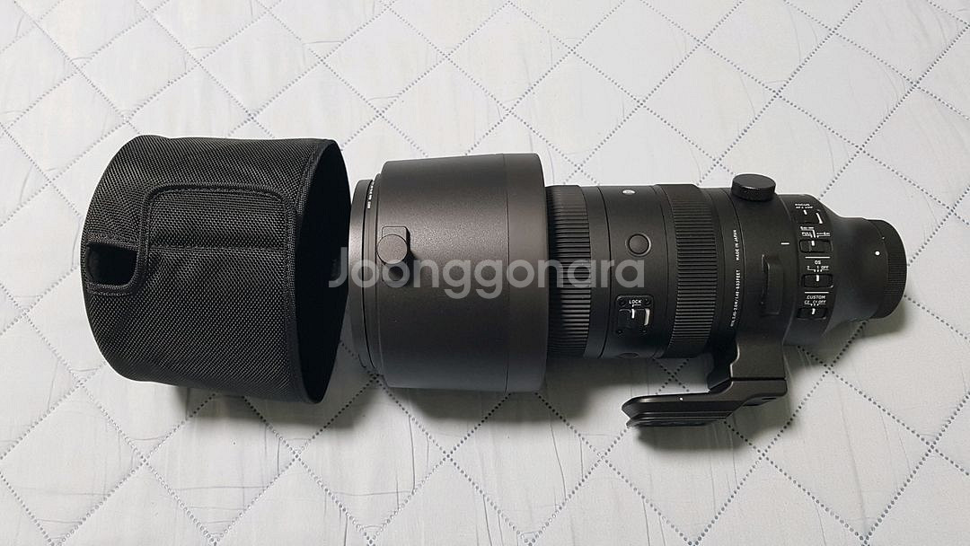 시그마 60-600mm(소니 E-mount) 풀프레임용--1