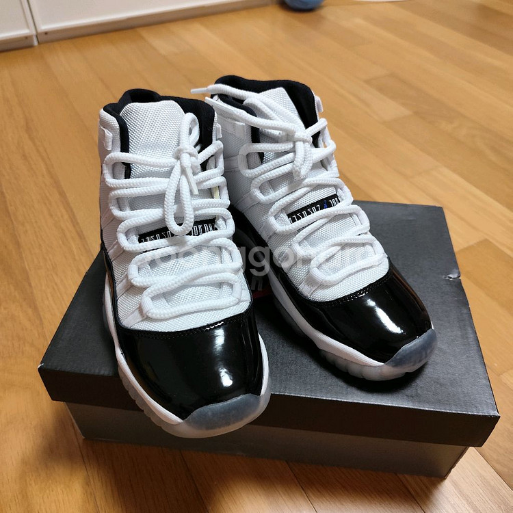 245 조던 11 콩코드 GS--2