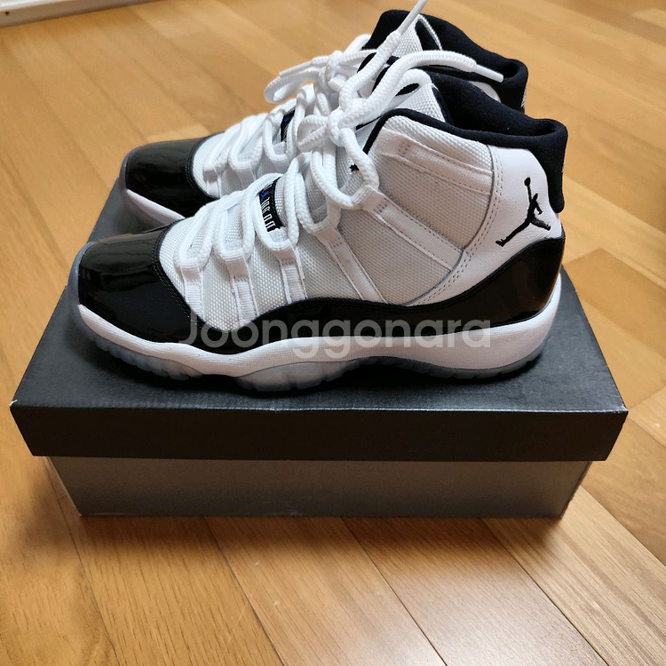 245 조던 11 콩코드 GS--1