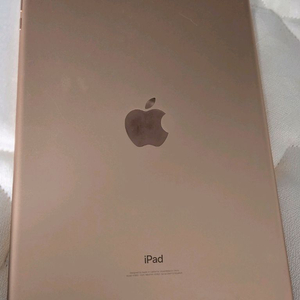 애플 아이패드 6세대 로즈골드 32GB