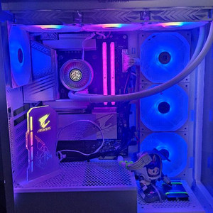 i9-13900k, z790 어로스 ax-w 급매