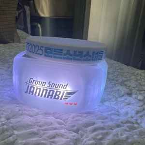 굿즈 응원봉 잔나비 2025 콘서트 팬라이트 응원팔찌