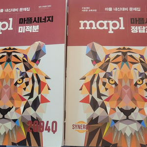 미적분 마플시너지