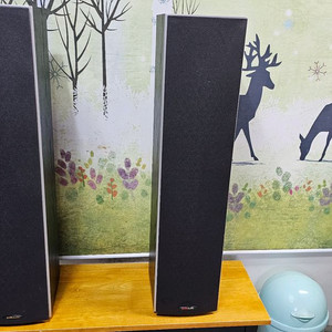 Polk Audio M20 스피커