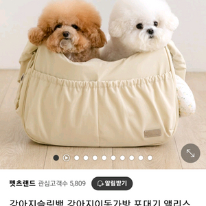 펫츠랜드 엘리스 강아지 슬링백 L사이즈 새상품
