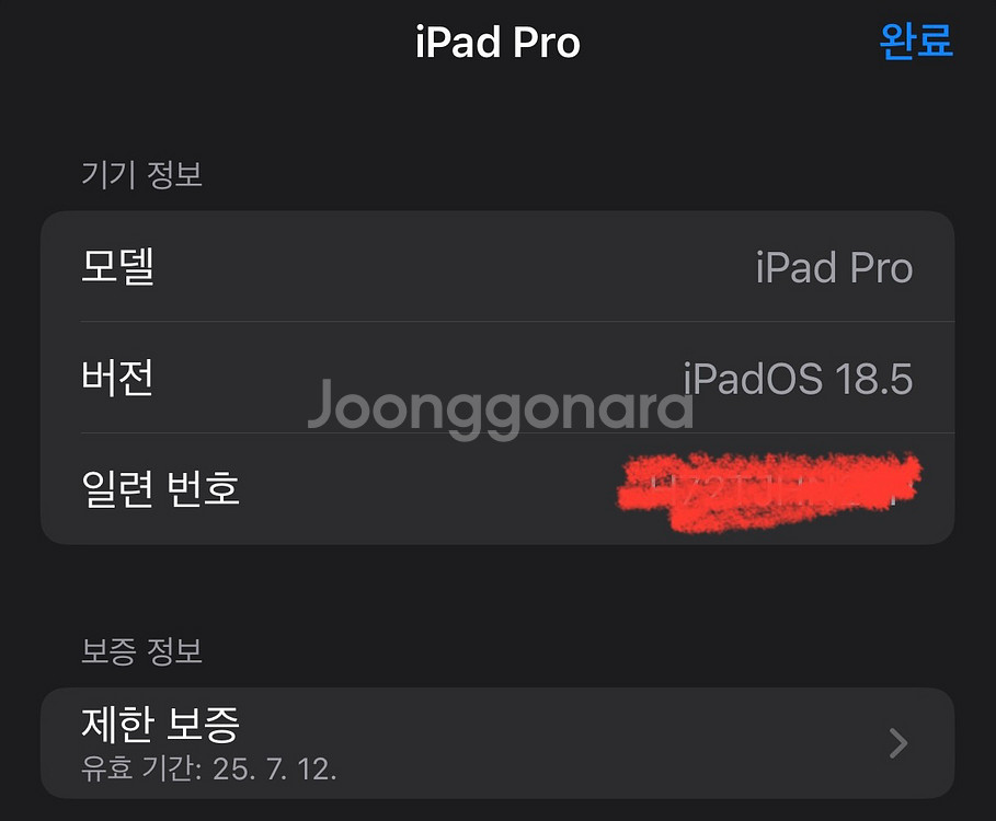 아이패드 프로 M4 13 셀룰러 SS급; 애케플가입가능--2