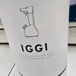로라스타 IGGI핸디형 스팀다리미 판매합니다.