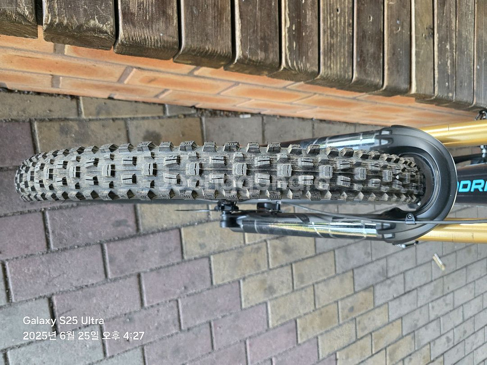 전기 자전거MTB 보쉬 750W 몬드래커 레벨RR--6