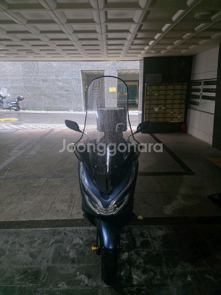 20년식 pcx125--0