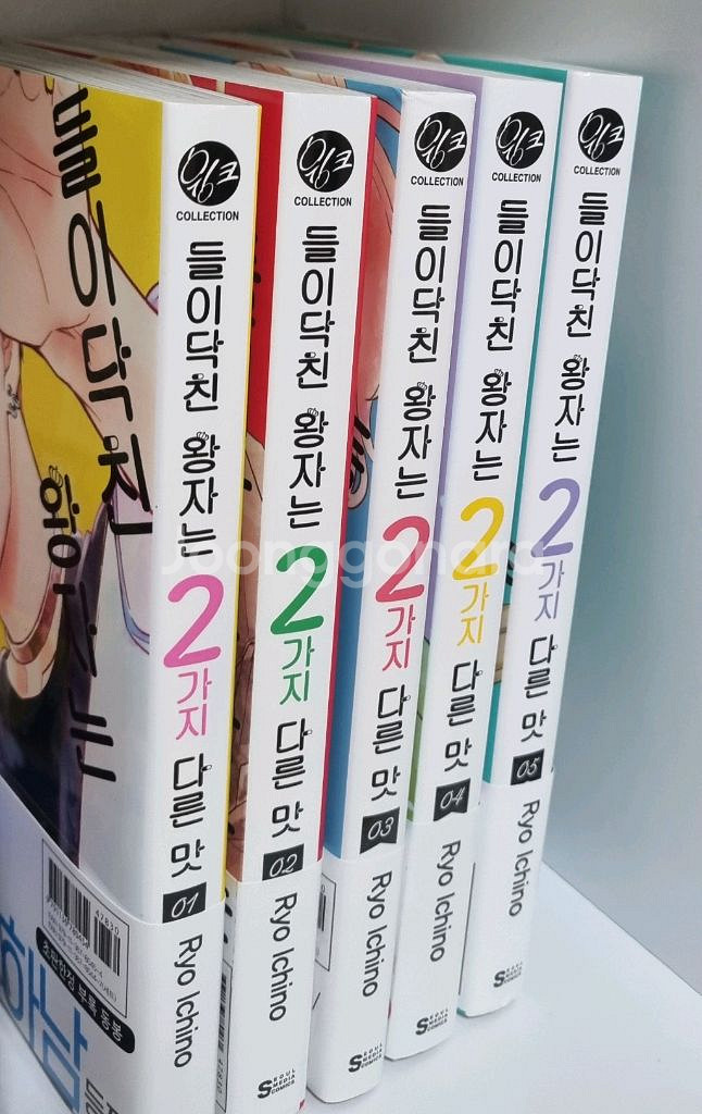 들이닥친 왕자는 2가지 다른 맛 1-5 순정만화 만화책--0