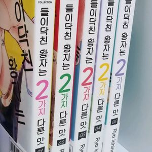 들이닥친 왕자는 2가지 다른 맛 1-5 순정만화 만화책