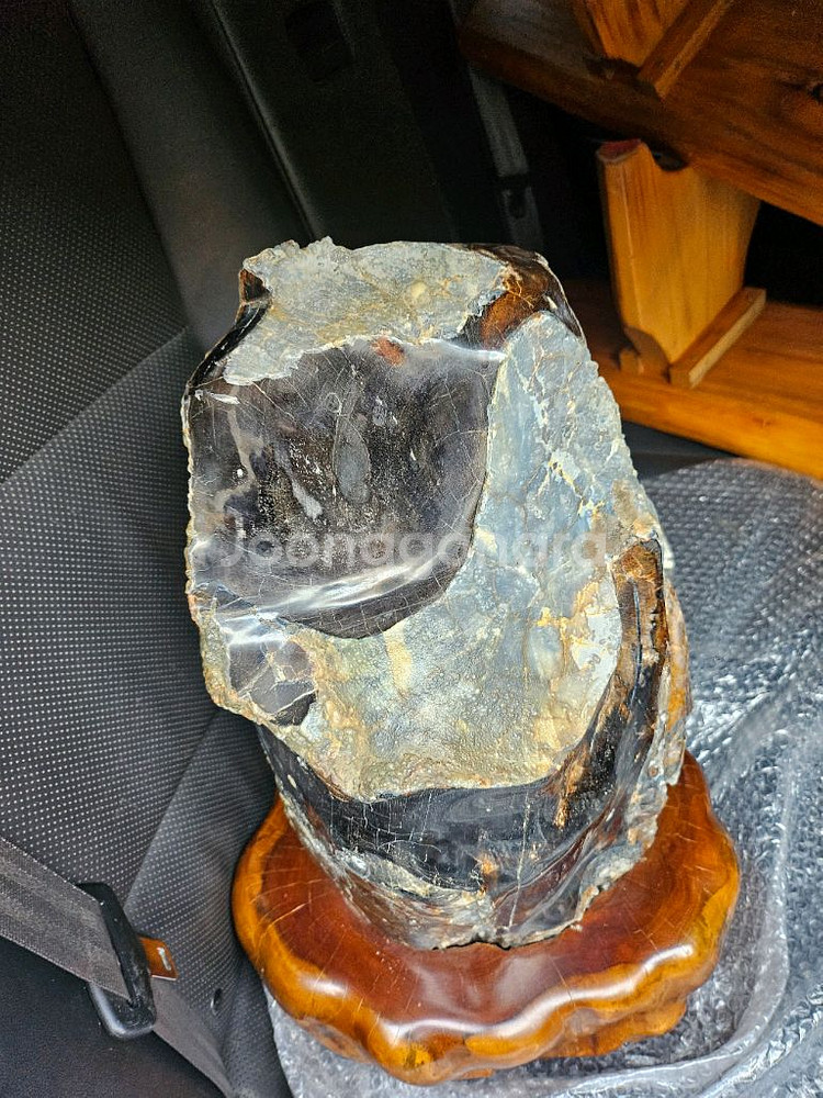 나무화석옥화52cm--2