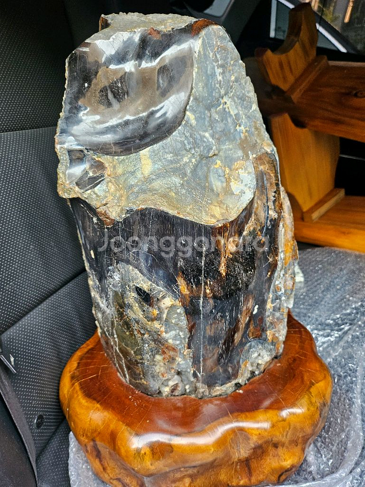 나무화석옥화52cm--1
