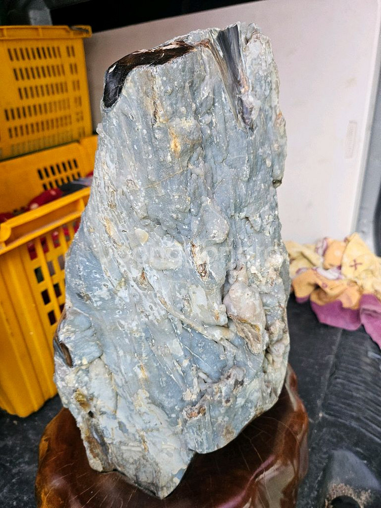 나무화석옥화52cm--3