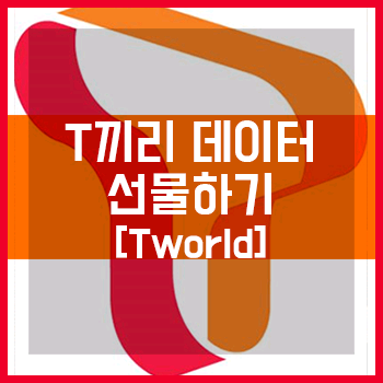 sk 데이터 2기가 판매합니다--0